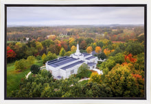 Load image into Gallery viewer, Palmyra and Sacred Grove Aerial