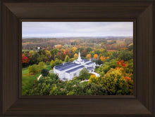 Load image into Gallery viewer, Palmyra and Sacred Grove Aerial