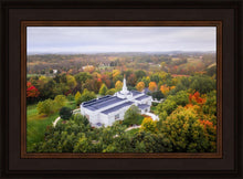 Load image into Gallery viewer, Palmyra and Sacred Grove Aerial