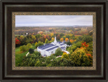 Load image into Gallery viewer, Palmyra and Sacred Grove Aerial