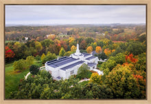 Load image into Gallery viewer, Palmyra and Sacred Grove Aerial
