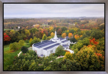 Load image into Gallery viewer, Palmyra and Sacred Grove Aerial