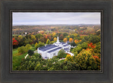 Load image into Gallery viewer, Palmyra and Sacred Grove Aerial
