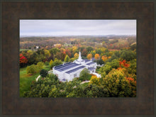 Load image into Gallery viewer, Palmyra and Sacred Grove Aerial
