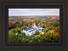 Load image into Gallery viewer, Palmyra and Sacred Grove Aerial