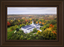 Load image into Gallery viewer, Palmyra and Sacred Grove Aerial