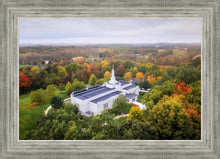 Load image into Gallery viewer, Palmyra and Sacred Grove Aerial