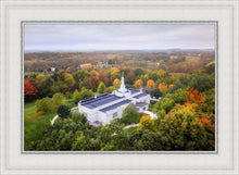 Load image into Gallery viewer, Palmyra and Sacred Grove Aerial