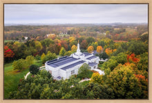 Load image into Gallery viewer, Palmyra and Sacred Grove Aerial