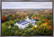 Load image into Gallery viewer, Palmyra and Sacred Grove Aerial