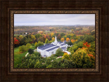 Load image into Gallery viewer, Palmyra and Sacred Grove Aerial
