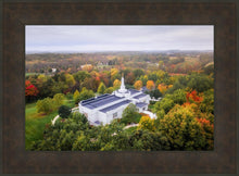 Load image into Gallery viewer, Palmyra and Sacred Grove Aerial