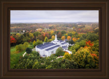 Load image into Gallery viewer, Palmyra and Sacred Grove Aerial