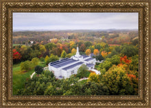 Load image into Gallery viewer, Palmyra and Sacred Grove Aerial