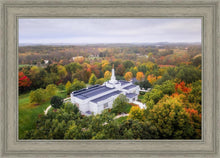 Load image into Gallery viewer, Palmyra and Sacred Grove Aerial