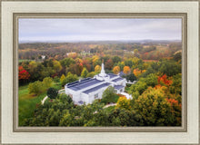 Load image into Gallery viewer, Palmyra and Sacred Grove Aerial