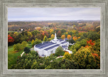 Load image into Gallery viewer, Palmyra and Sacred Grove Aerial