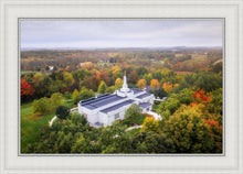 Load image into Gallery viewer, Palmyra and Sacred Grove Aerial