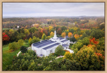 Load image into Gallery viewer, Palmyra and Sacred Grove Aerial