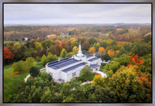 Load image into Gallery viewer, Palmyra and Sacred Grove Aerial