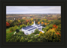 Load image into Gallery viewer, Palmyra and Sacred Grove Aerial