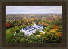 Load image into Gallery viewer, Palmyra and Sacred Grove Aerial