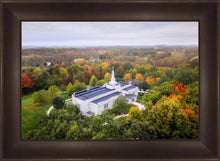 Load image into Gallery viewer, Palmyra and Sacred Grove Aerial