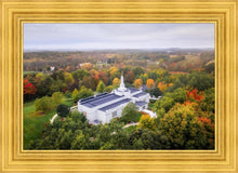 Load image into Gallery viewer, Palmyra and Sacred Grove Aerial