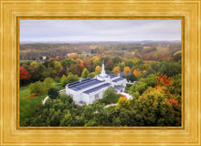 Load image into Gallery viewer, Palmyra and Sacred Grove Aerial