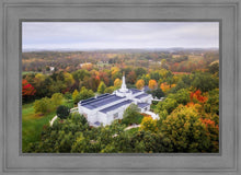 Load image into Gallery viewer, Palmyra and Sacred Grove Aerial