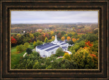 Load image into Gallery viewer, Palmyra and Sacred Grove Aerial