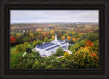 Load image into Gallery viewer, Palmyra and Sacred Grove Aerial