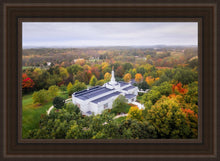 Load image into Gallery viewer, Palmyra and Sacred Grove Aerial