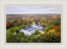 Load image into Gallery viewer, Palmyra and Sacred Grove Aerial