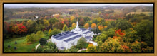 Load image into Gallery viewer, Palmyra and Sacred Grove Aerial
