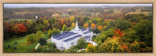 Load image into Gallery viewer, Palmyra and Sacred Grove Aerial
