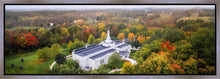 Load image into Gallery viewer, Palmyra and Sacred Grove Aerial