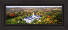 Load image into Gallery viewer, Palmyra and Sacred Grove Aerial