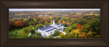 Load image into Gallery viewer, Palmyra and Sacred Grove Aerial