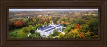 Load image into Gallery viewer, Palmyra and Sacred Grove Aerial