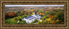Load image into Gallery viewer, Palmyra and Sacred Grove Aerial