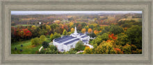 Load image into Gallery viewer, Palmyra and Sacred Grove Aerial