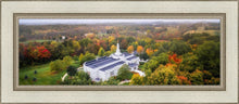 Load image into Gallery viewer, Palmyra and Sacred Grove Aerial