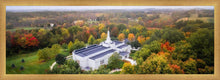 Load image into Gallery viewer, Palmyra and Sacred Grove Aerial