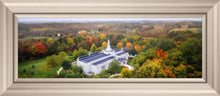Load image into Gallery viewer, Palmyra and Sacred Grove Aerial