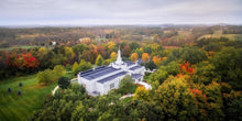 Load image into Gallery viewer, Palmyra and Sacred Grove Aerial