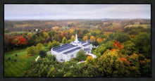 Load image into Gallery viewer, Palmyra and Sacred Grove Aerial