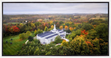 Load image into Gallery viewer, Palmyra and Sacred Grove Aerial