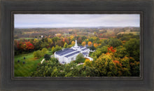 Load image into Gallery viewer, Palmyra and Sacred Grove Aerial