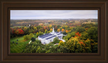 Load image into Gallery viewer, Palmyra and Sacred Grove Aerial
